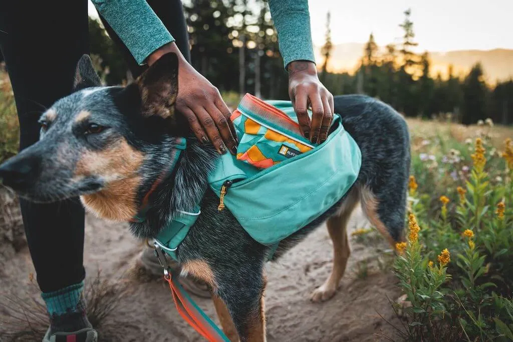 Front Range Day Pack (2024) - Streamlined, Day Hikes