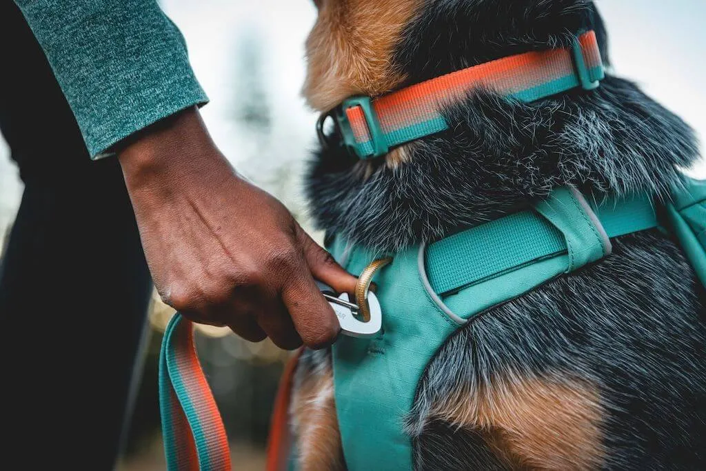 Front Range Day Pack (2024) - Streamlined, Day Hikes