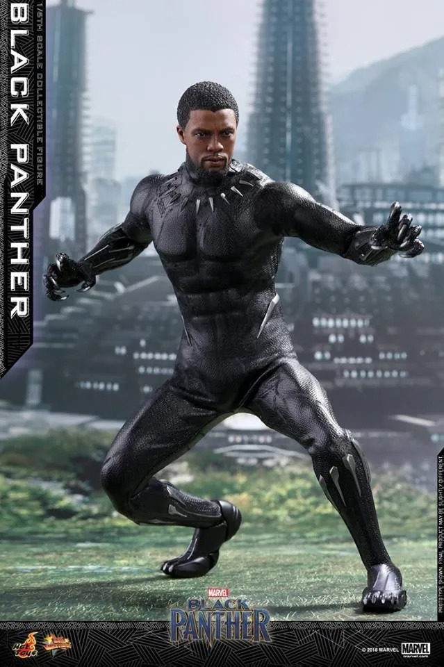Hot Toys - MMS470 - Black Panther -  Black Panther Collectible Figure