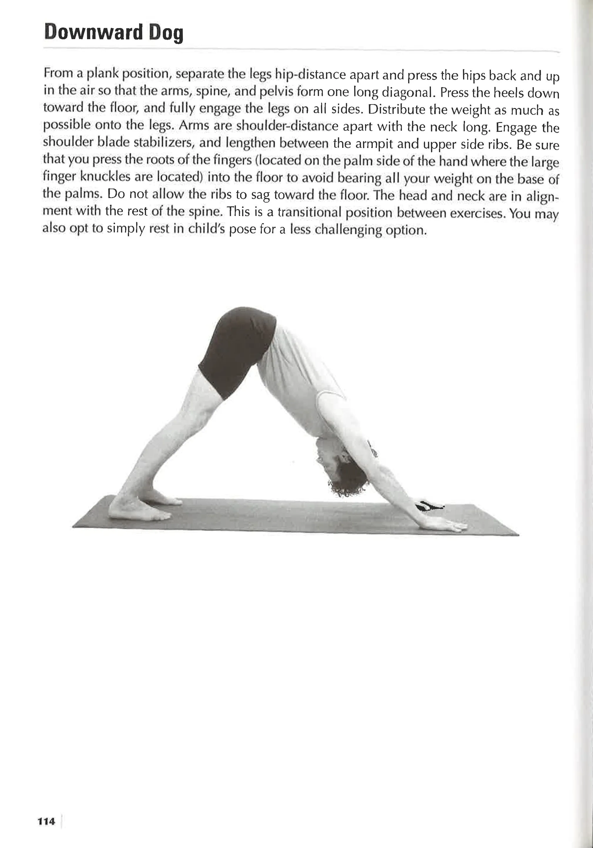 Morning Pilates Workouts