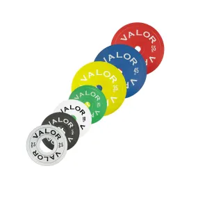 Steel Calibrated Olympic Plates (LB)