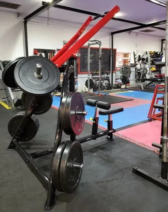 SteelFlex Lateral Pull Down Machine (PLLA)