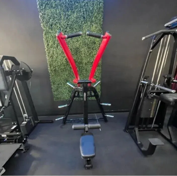 SteelFlex Lateral Pull Down Machine (PLLA)