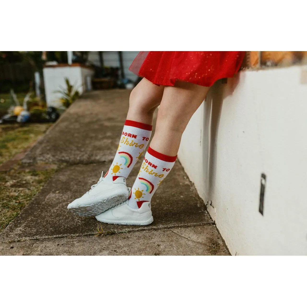 White Lows - New Sole